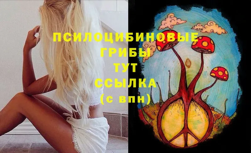 Галлюциногенные грибы Psilocybine cubensis  цена   Моздок 